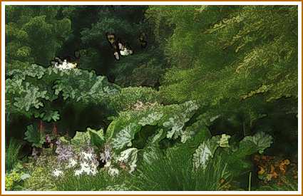 'Beth Chatto Garden' detail