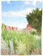 Cottonwood Wash 1 