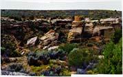 Little Ruin Canyon Hovenweep 