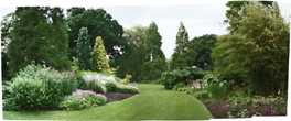 Beth Chatto Garden
