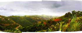 Rain Tortola 