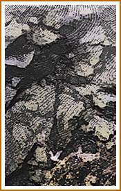 'Portpatrick 1' detail 'Portpatrick 1' detail