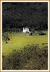'The White House, Brimham' detail
