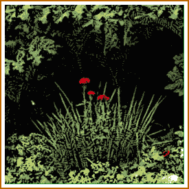 'Beth Chatto Garden' detail 'Beth Chatto Garden' detail