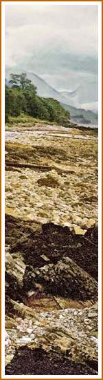 'Loch Linnhe from Onich' detail