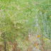 Cottonwood Wash 1