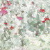 The Dry Garden